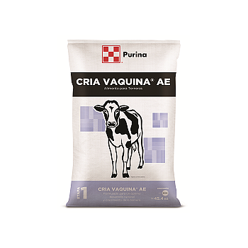 MANTONE - CRIA VAQUINA AE CHK