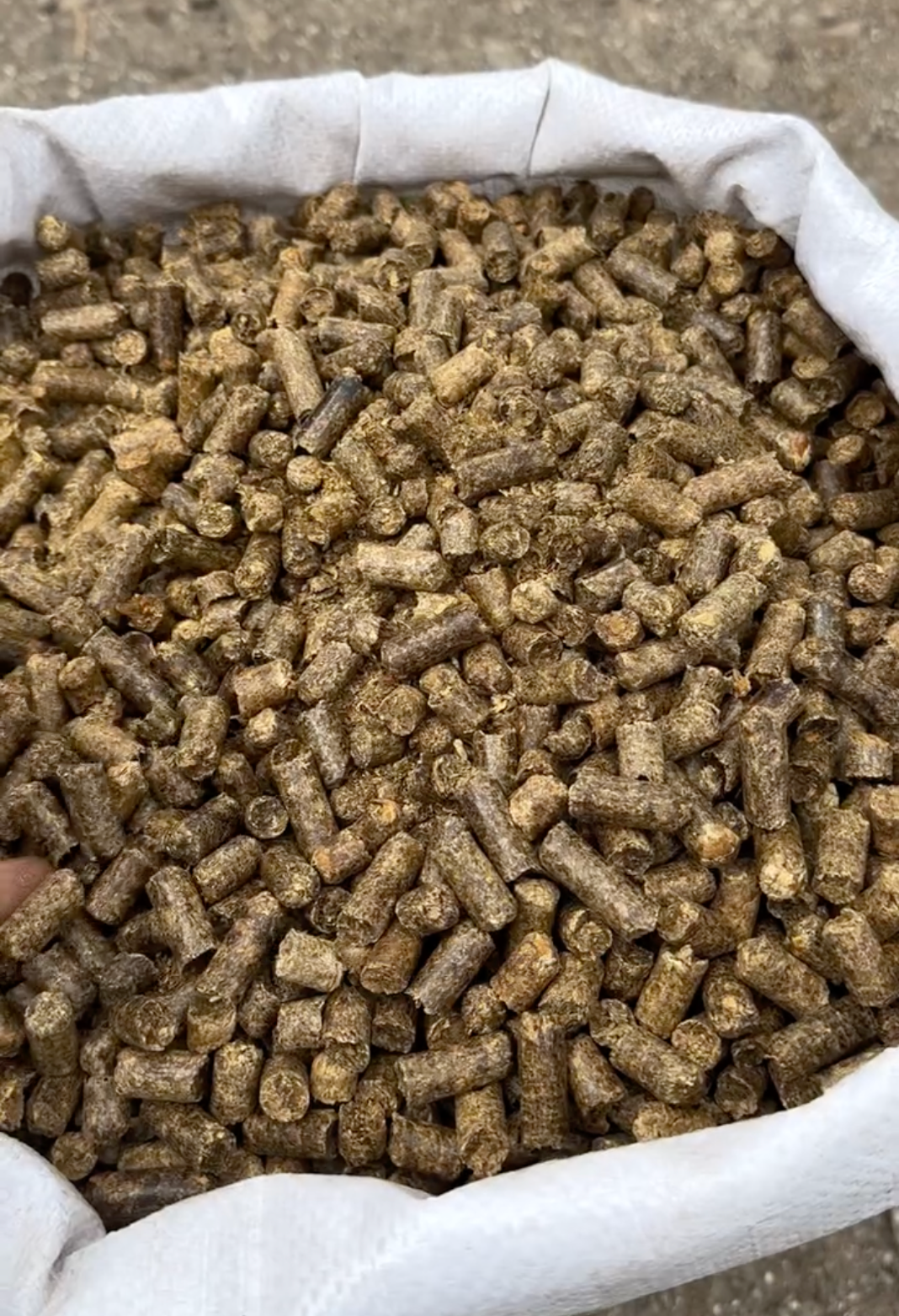 CPB0001 - Citropulpa