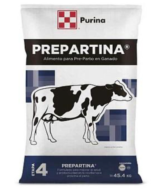 Prepartina. Purina